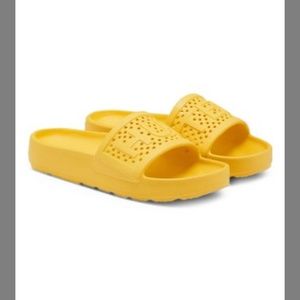 HUNTER Lightweight Molded Slides